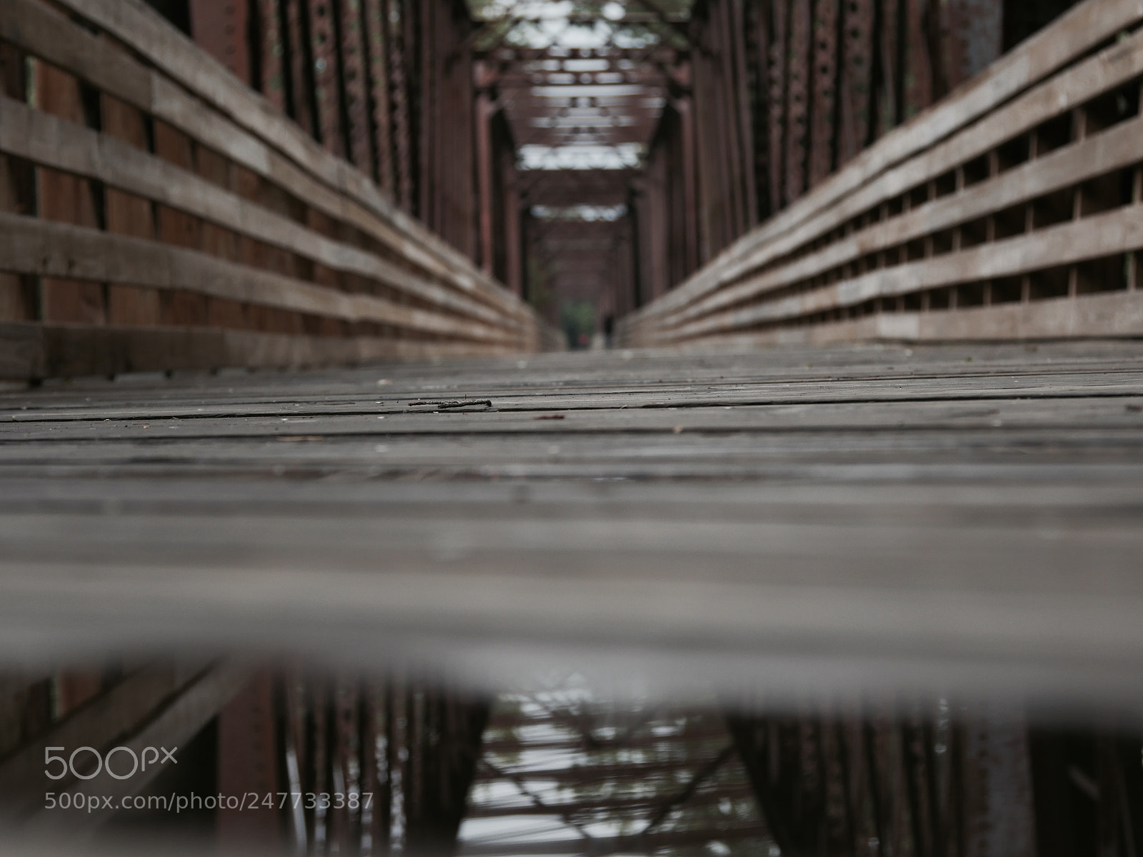 Panasonic Lumix DMC-GH4 sample photo. Untitled photography