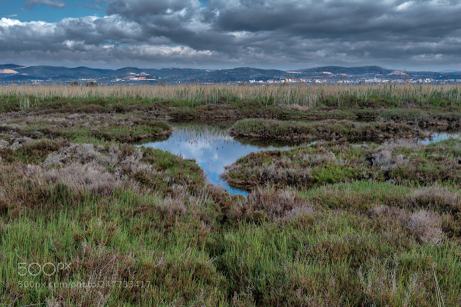 Nikon Df sample photo. Natural park "el prat" photography