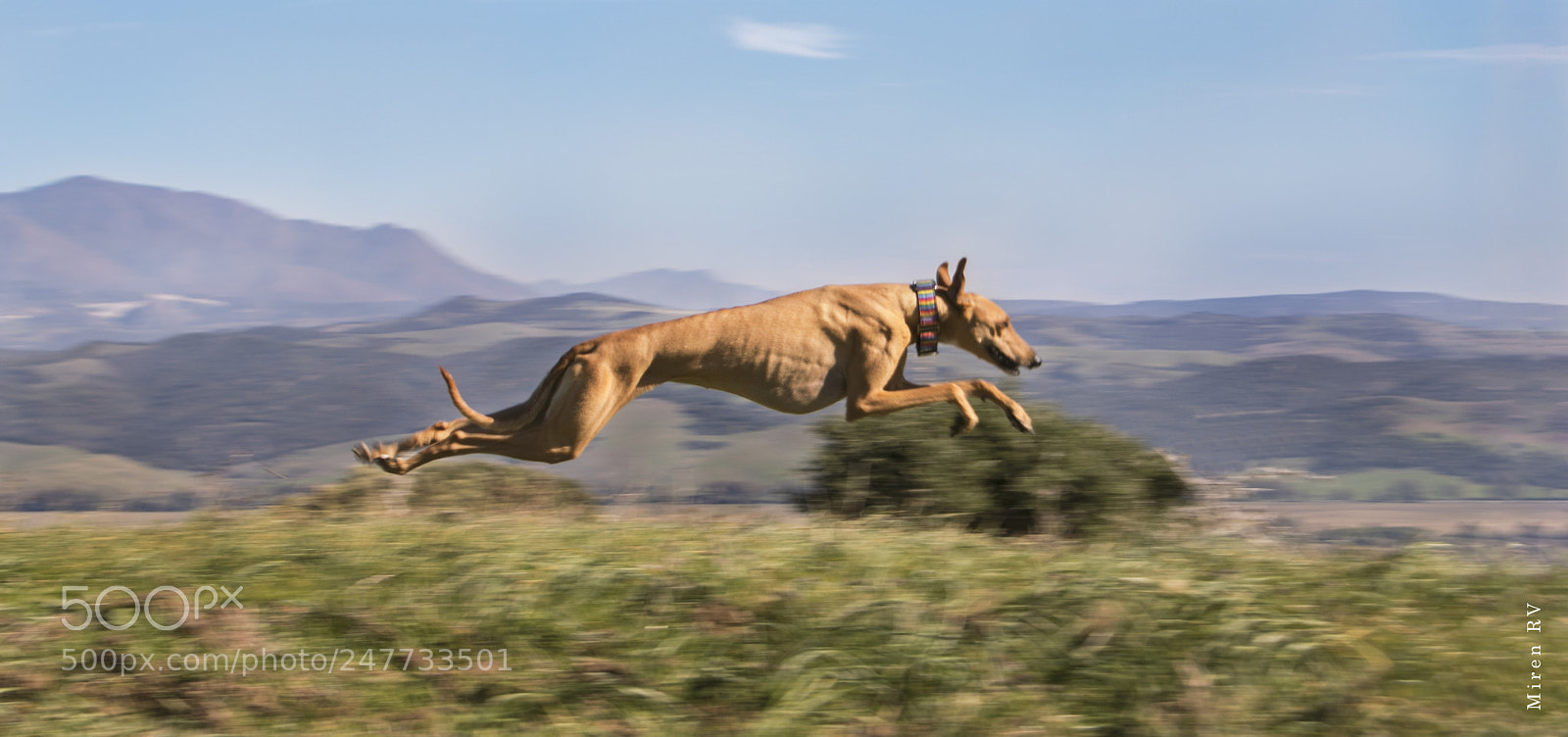 Canon EOS 7D Mark II sample photo. Flying photography