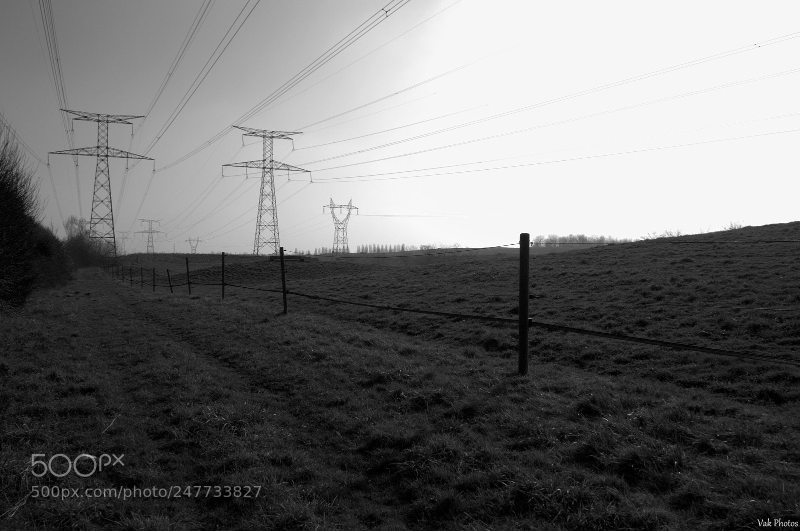 Nikon D3100 sample photo. Lines photography