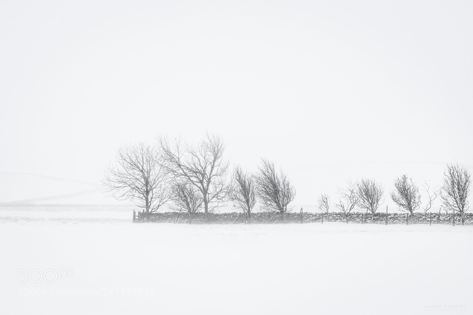 Fujifilm X-T1 sample photo. Windy knoll photography