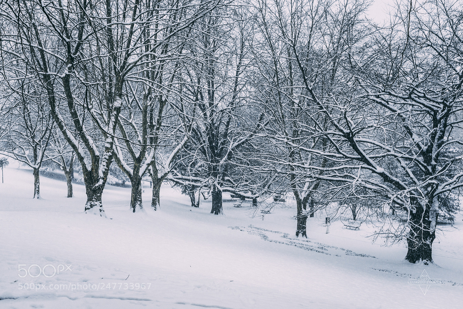 Nikon D800 sample photo. Bilbao nevado eduardo zulaica photography