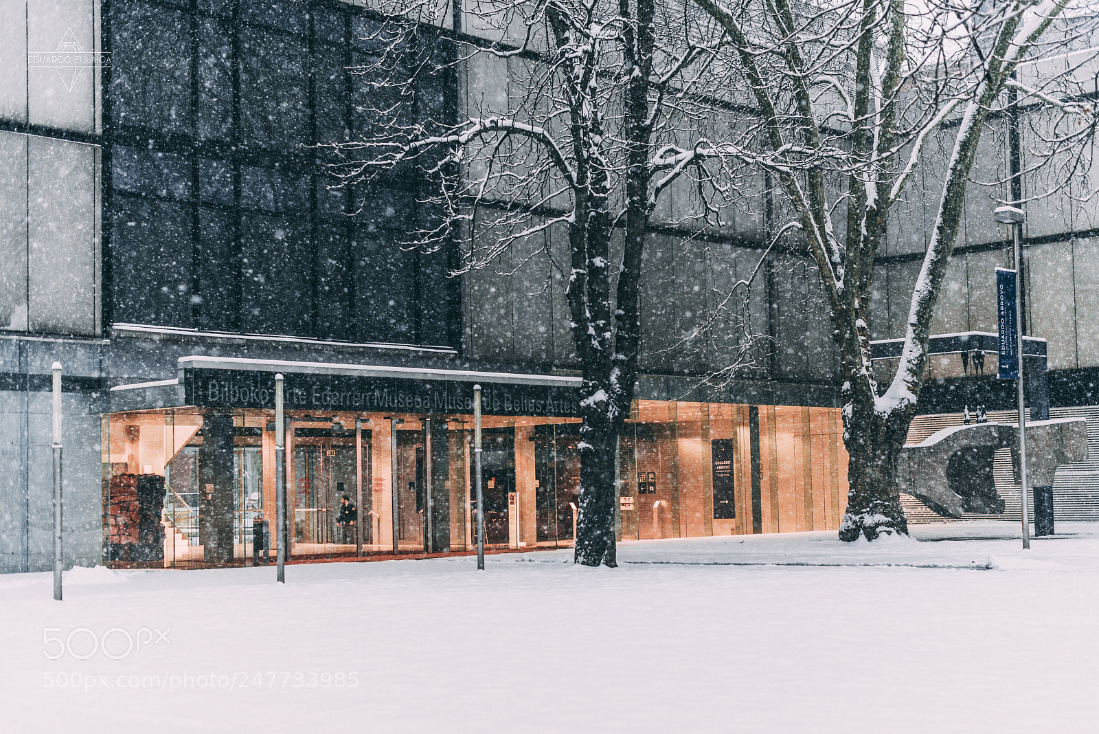 Nikon D800 sample photo. Bilbao nevado eduardo zulaica photography