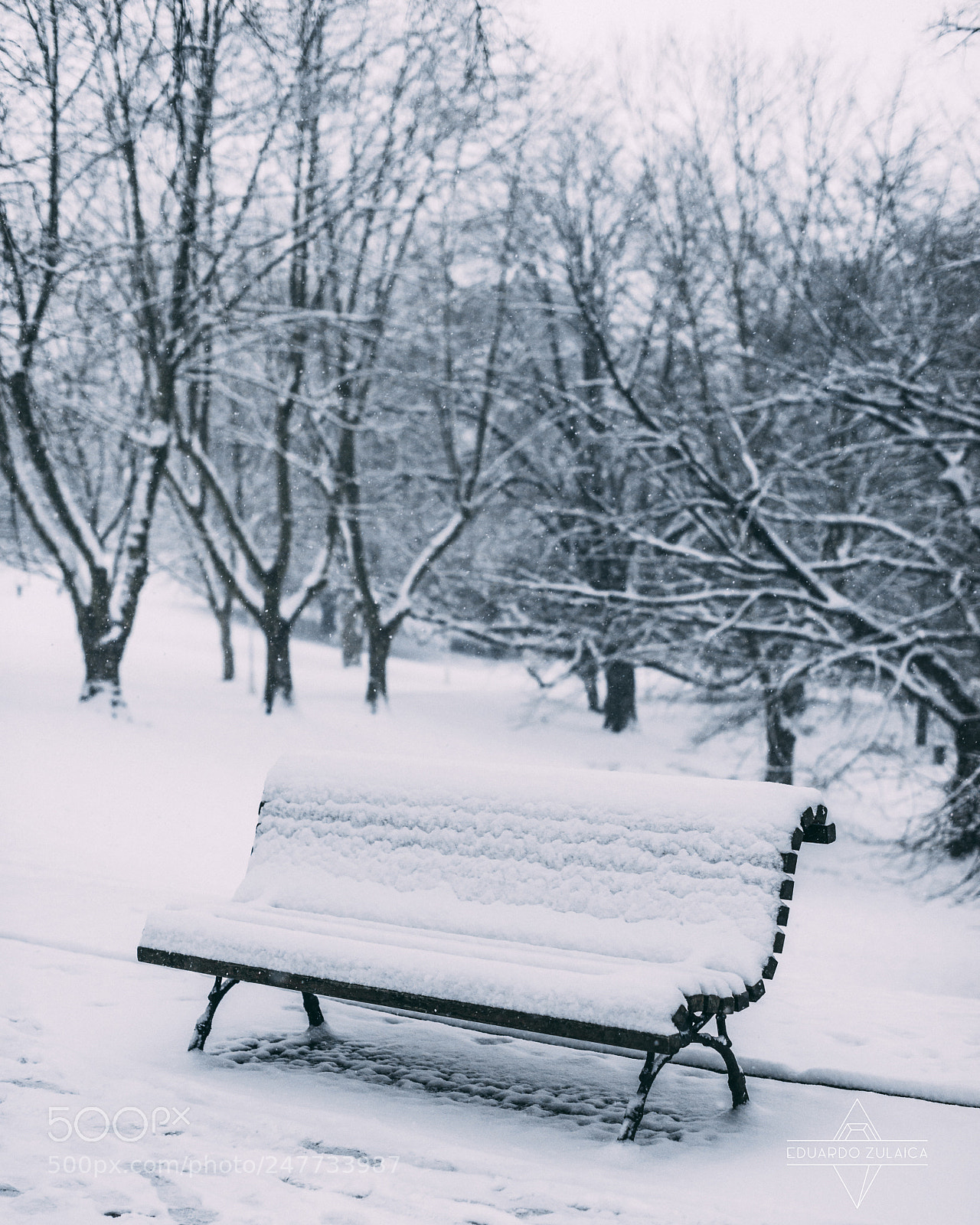 Nikon D800 sample photo. Bilbao nevado eduardo zulaica photography