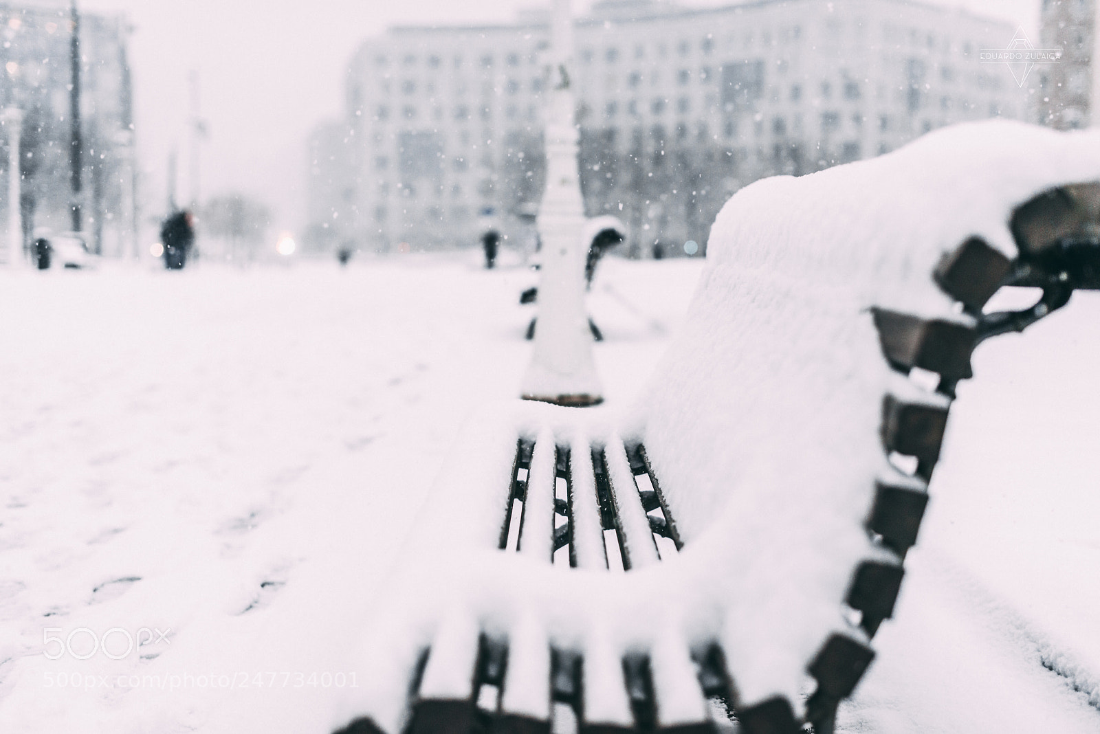 Nikon D800 sample photo. Untitled photography