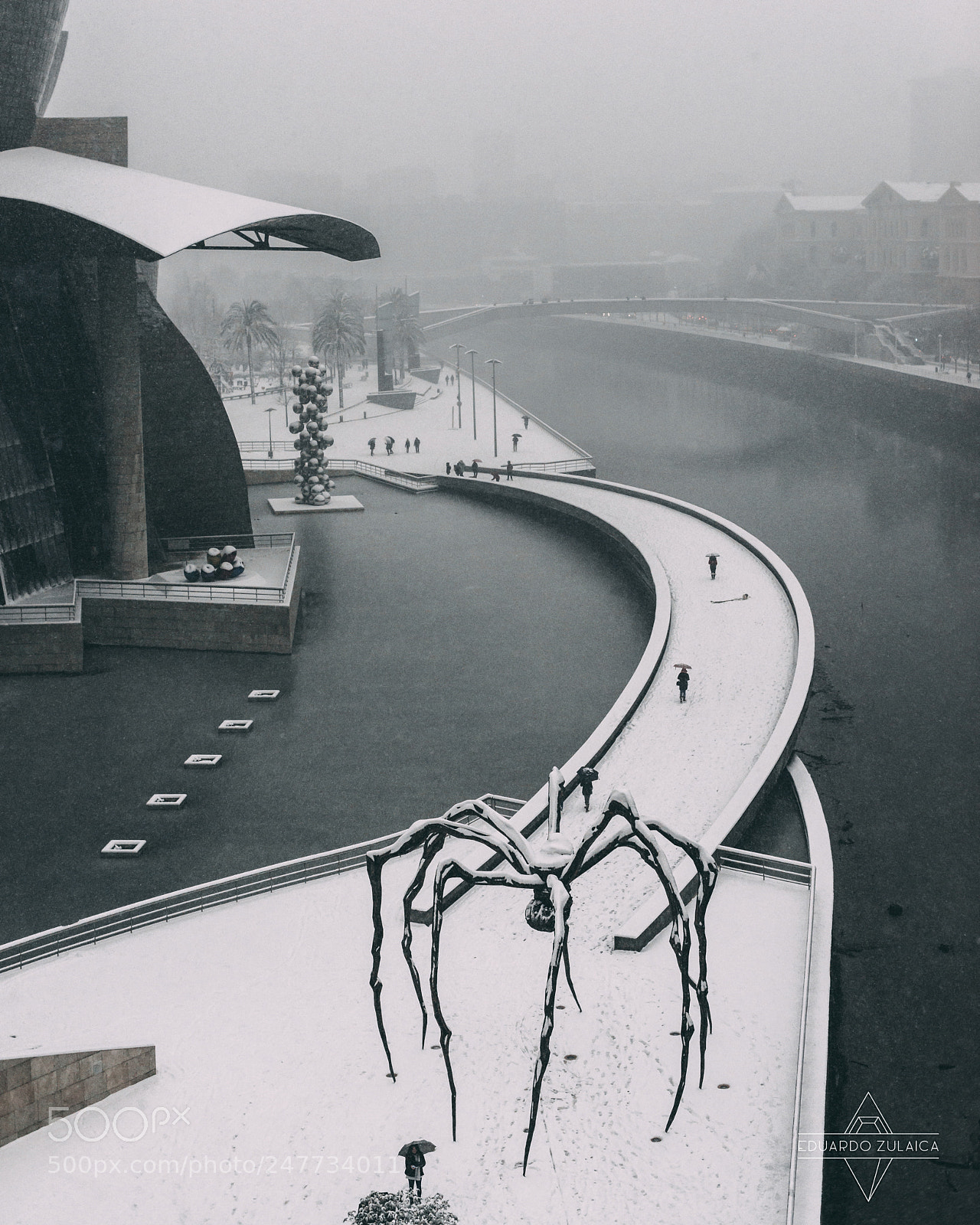 Nikon D800 sample photo. Bilbao nevado eduardo zulaica photography