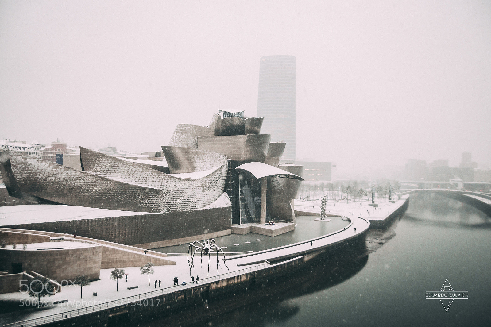 Nikon D800 sample photo. Bilbao nevado eduardo zulaica photography