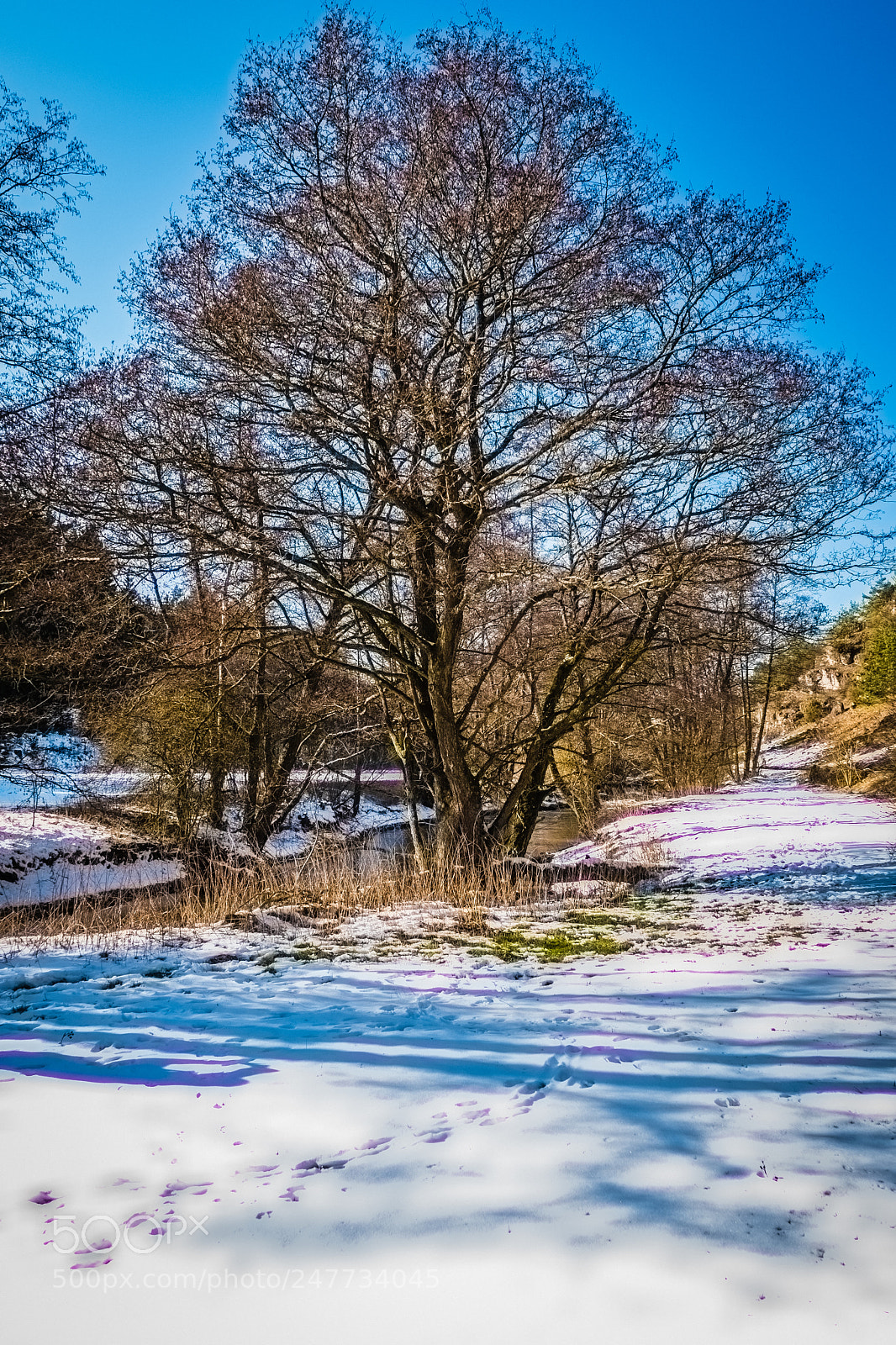 Fujifilm X-T2 sample photo. Icy bavaria photography