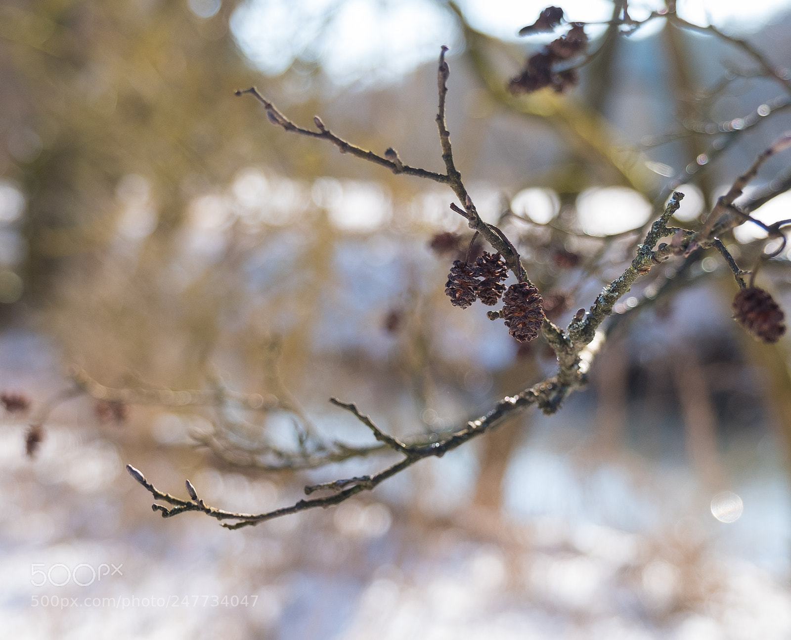 Fujifilm X-T2 sample photo. Icy bavaria photography