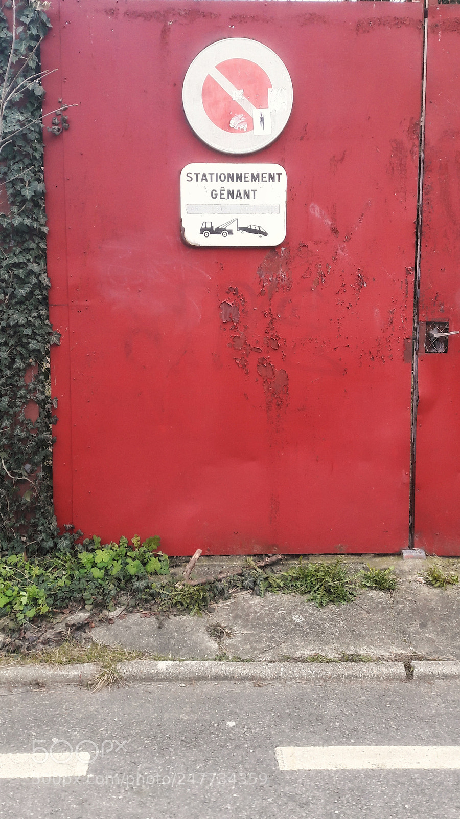 Samsung Galaxy A5(2016) sample photo. Tout rouge photography