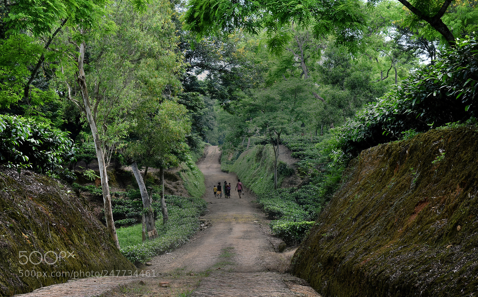 Nikon D7200 sample photo. Country road photography