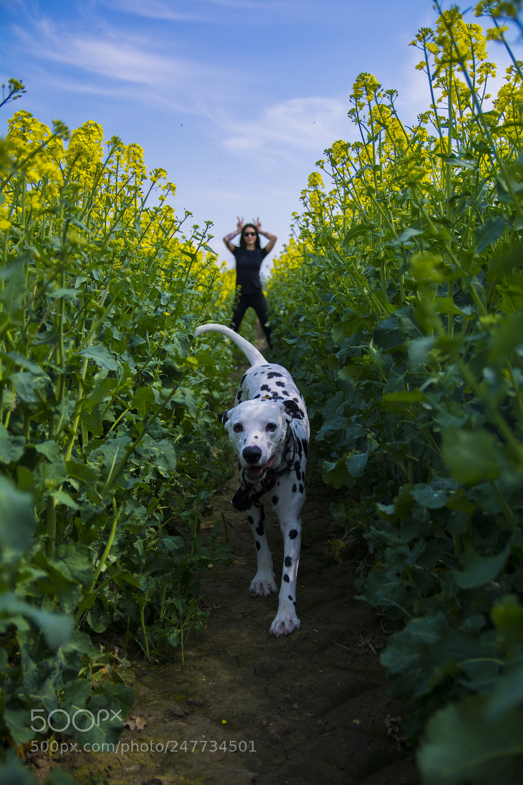 Nikon D7100 sample photo. Happiness photography