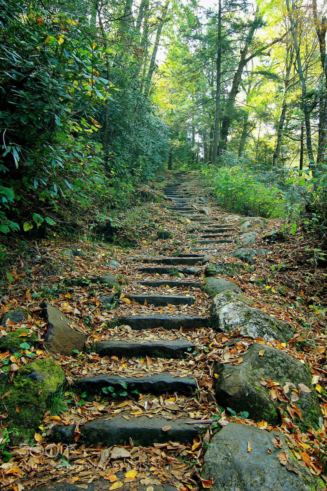 Canon EOS 550D (EOS Rebel T2i / EOS Kiss X4) sample photo. Chimney tops trail 3 photography
