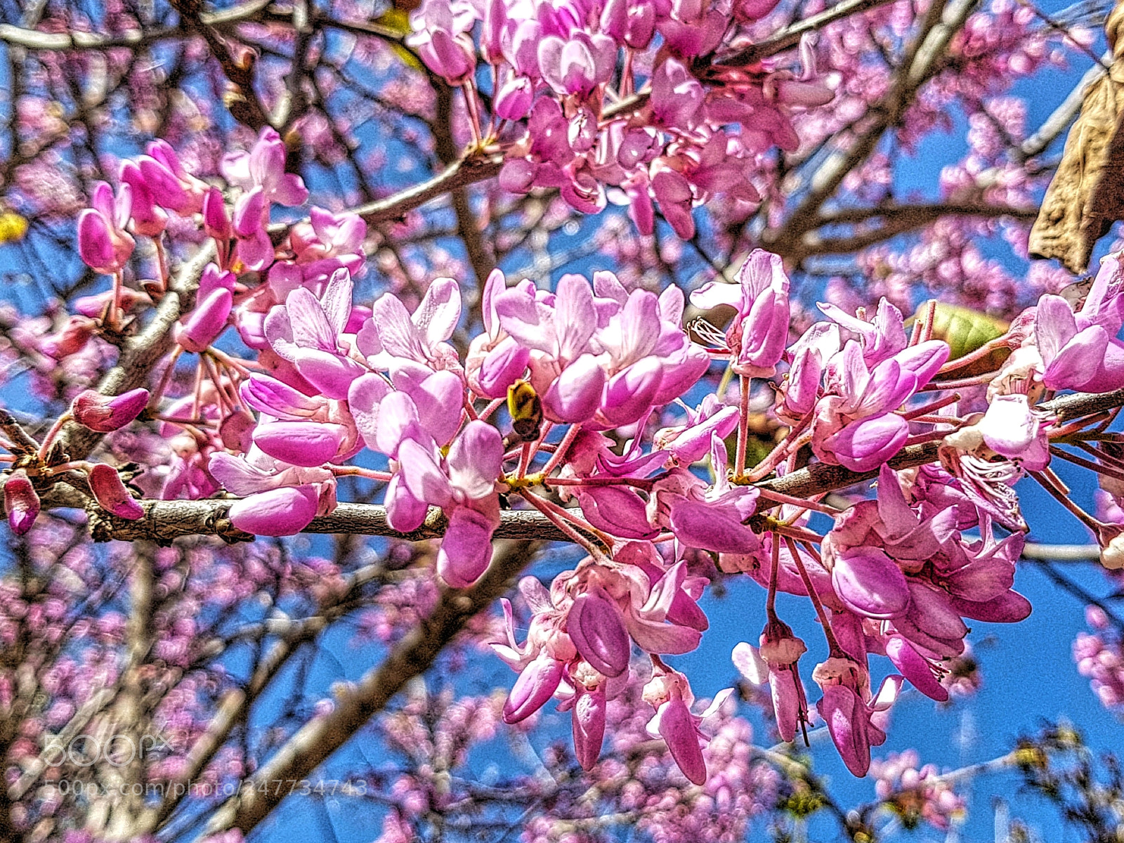 Samsung Galaxy S8+ sample photo. 20180228_130952-01.jpg photography
