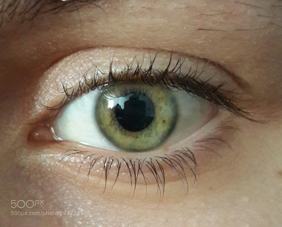 Samsung Galaxy S4 sample photo. Untitled photography