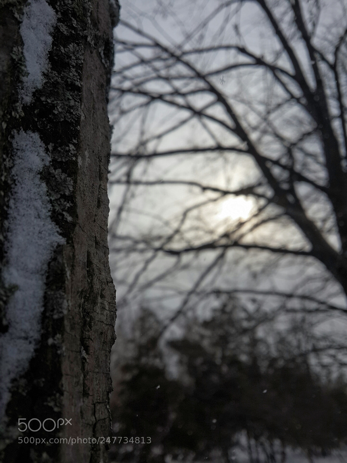 Samsung Galaxy S4 sample photo. Untitled photography