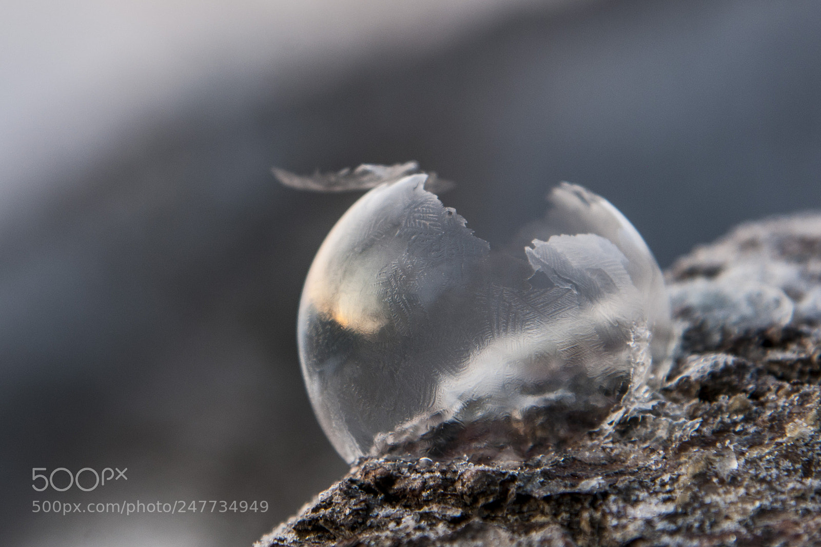 Nikon D300S sample photo. Ice bubble photography