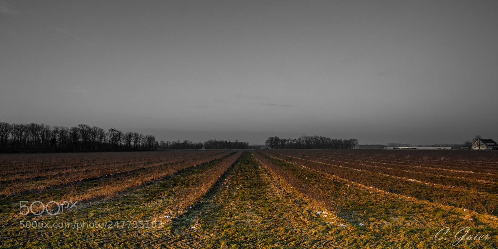Canon EOS 77D (EOS 9000D / EOS 770D) sample photo. Sad sky photography