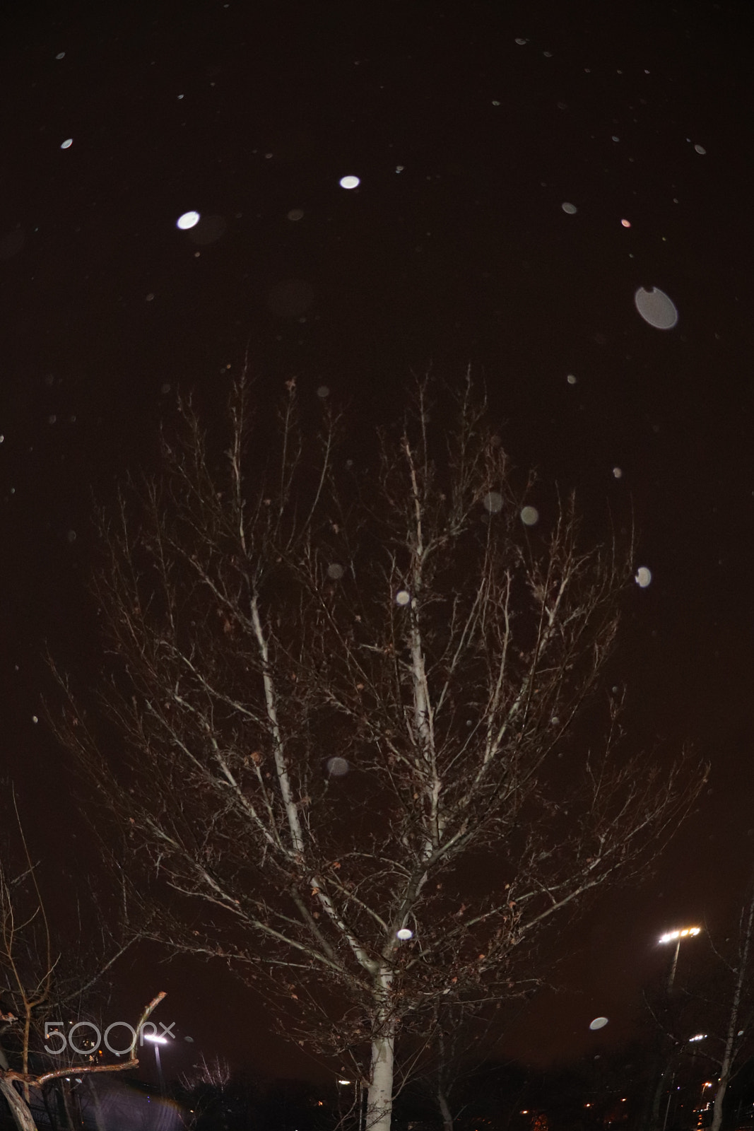 Canon EOS 77D (EOS 9000D / EOS 770D) sample photo. Rainy night photography