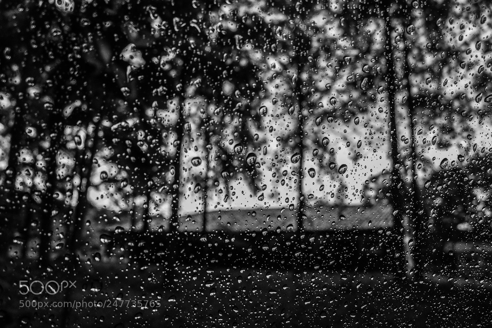 Canon EOS M3 sample photo. Rainy day photography