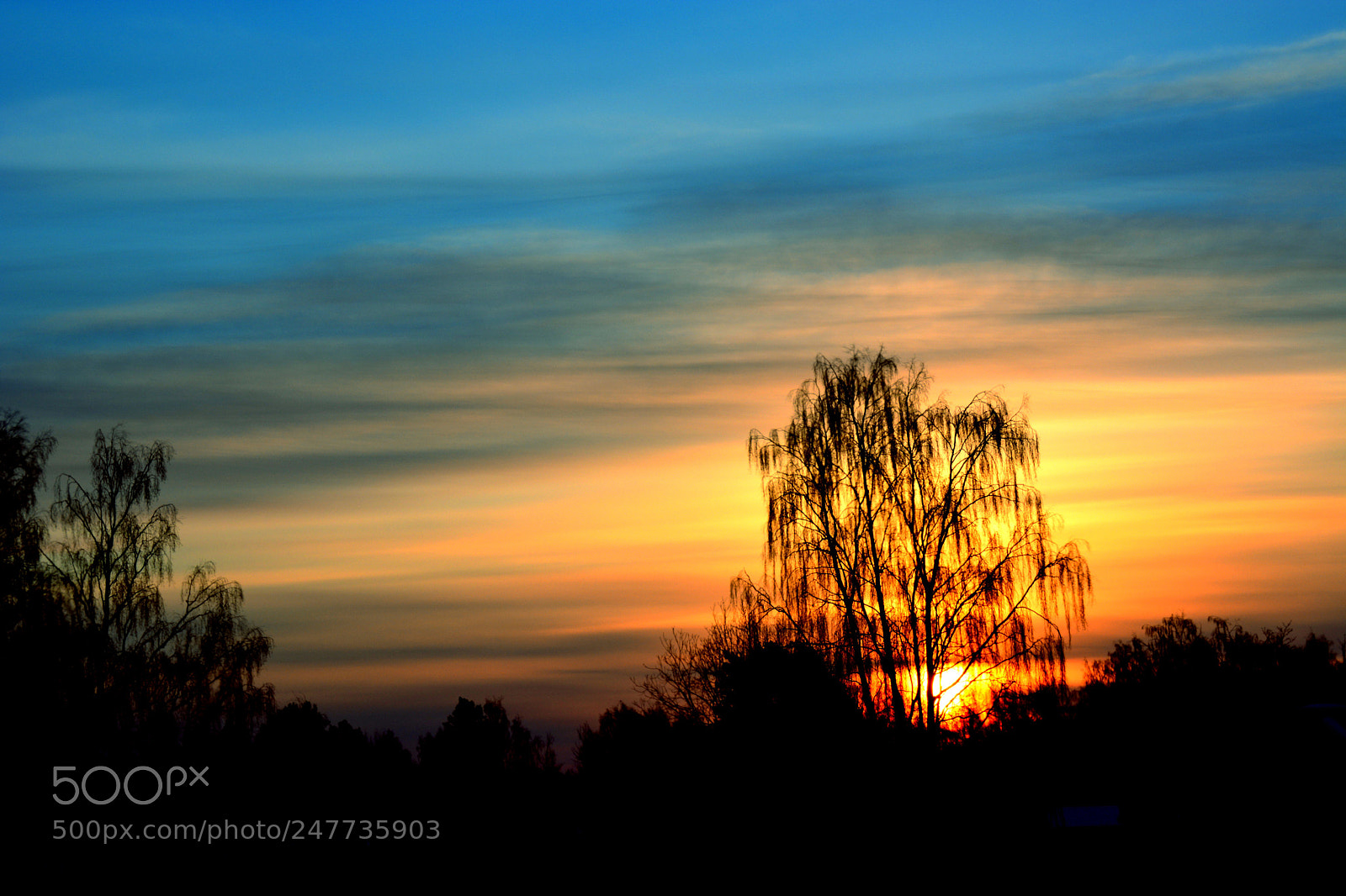 Nikon D5200 sample photo. Aurora photography