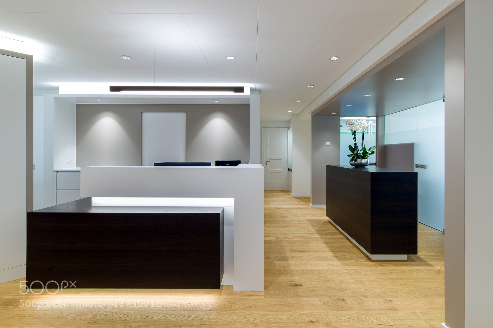 Nikon D800 sample photo. Reception photography