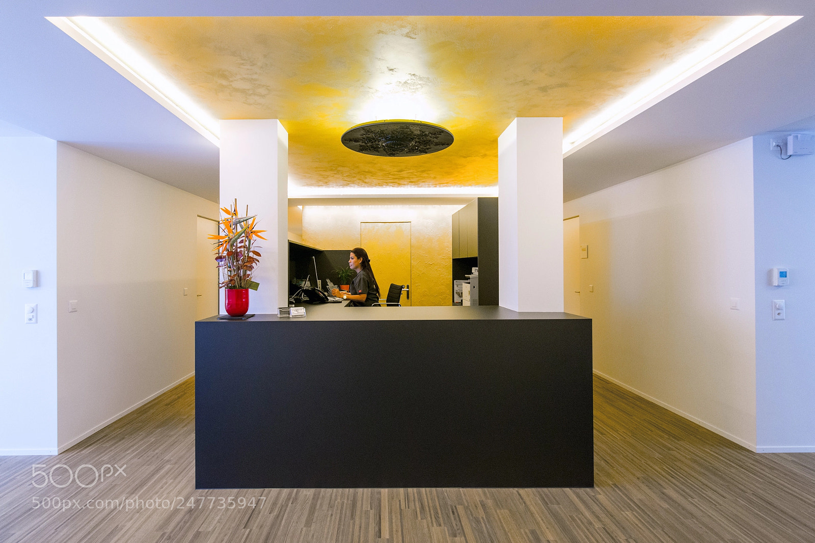 Nikon D800 sample photo. Reception photography