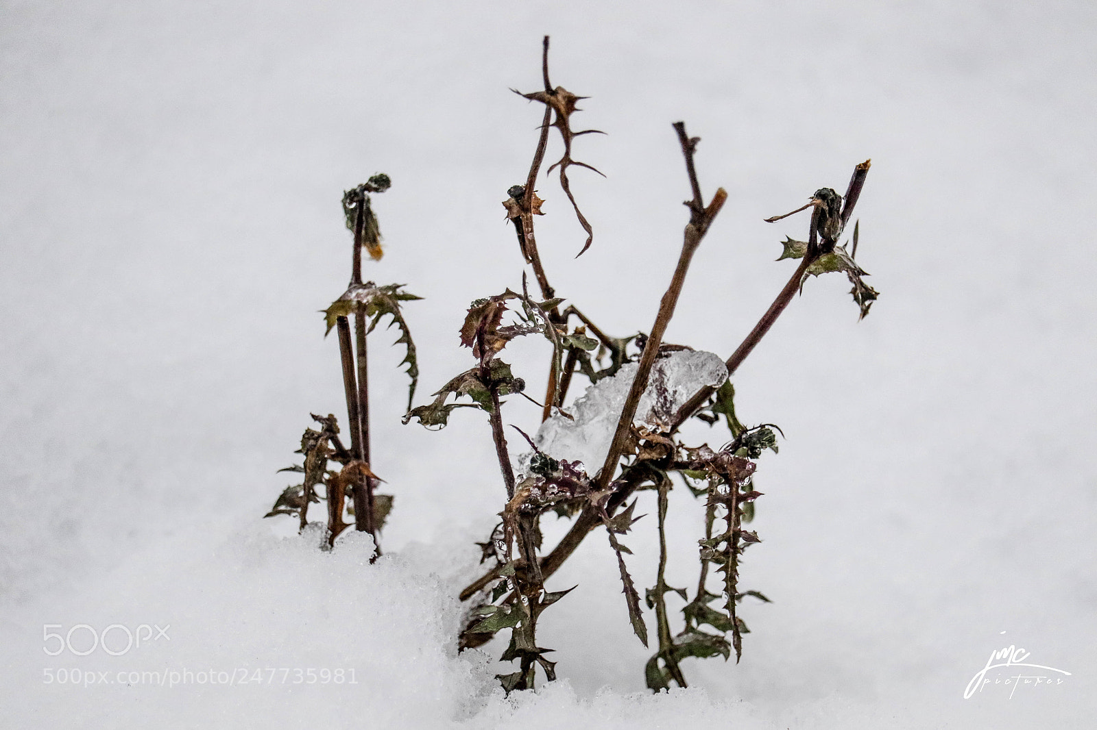 Canon EOS 7D Mark II sample photo. Snow in castelnau ! photography