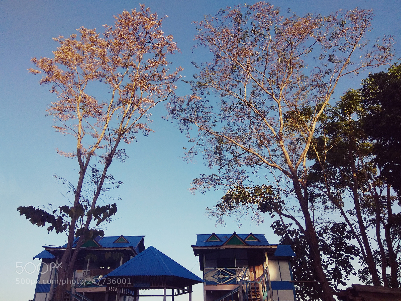 Xiaomi Redmi Note 4 sample photo. Holiday home photography