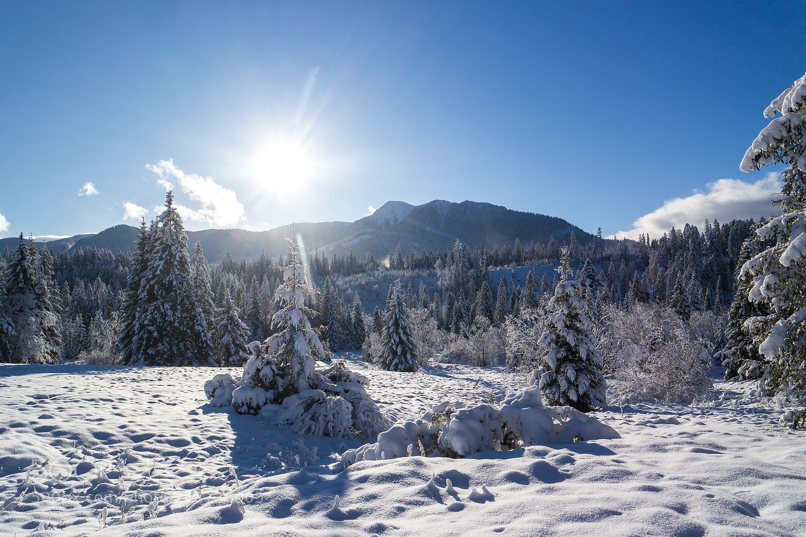 Samsung NX300 sample photo. The winter photography