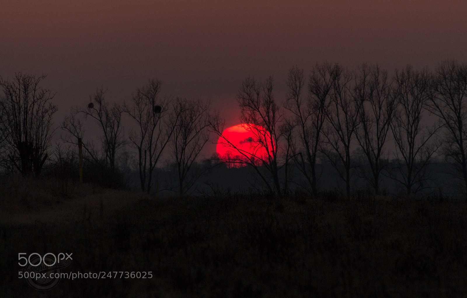 Canon EOS 700D (EOS Rebel T5i / EOS Kiss X7i) sample photo. The sun goes down photography
