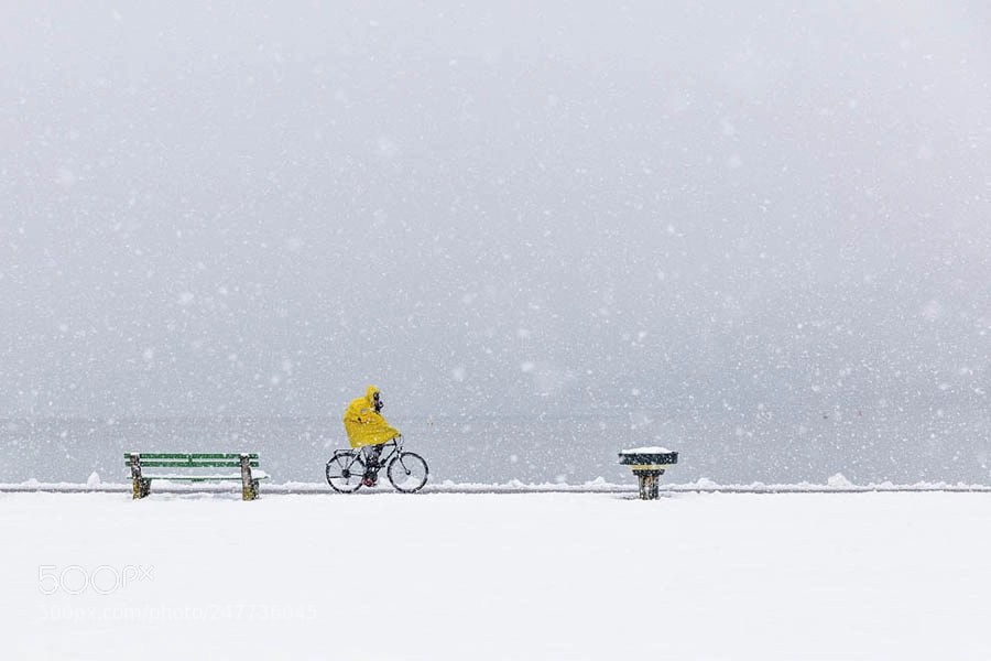 Canon EOS 5DS R sample photo. Snow storm yellow photography