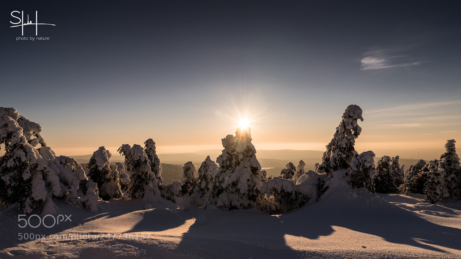 Sony a7 sample photo. Fichtenstern photography