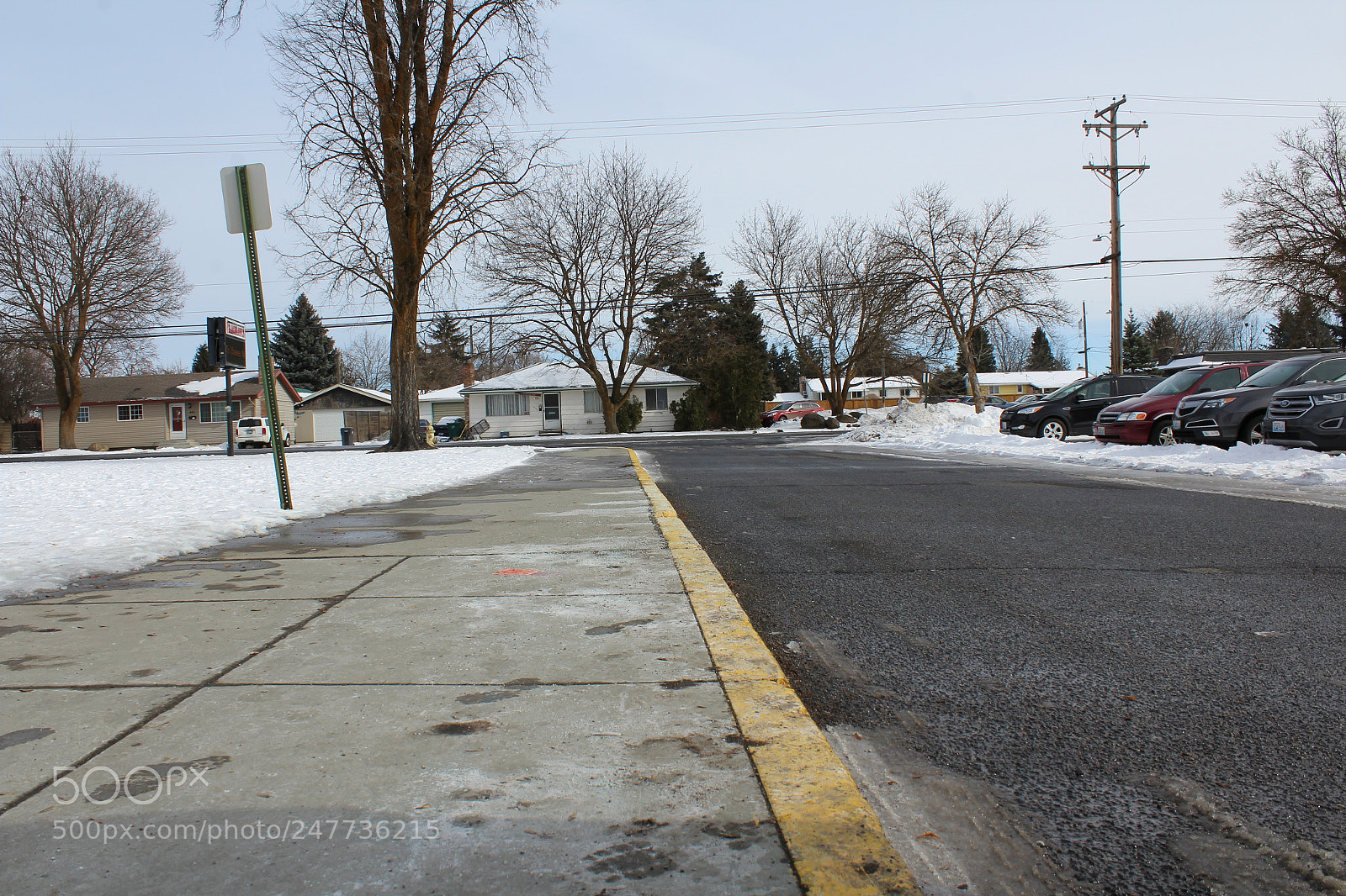 Canon EOS 1200D (EOS Rebel T5 / EOS Kiss X70 / EOS Hi) sample photo. Cheney photography
