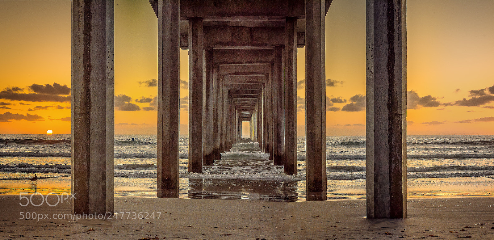 Nikon D810 sample photo. Scripps sunset (of ) photography