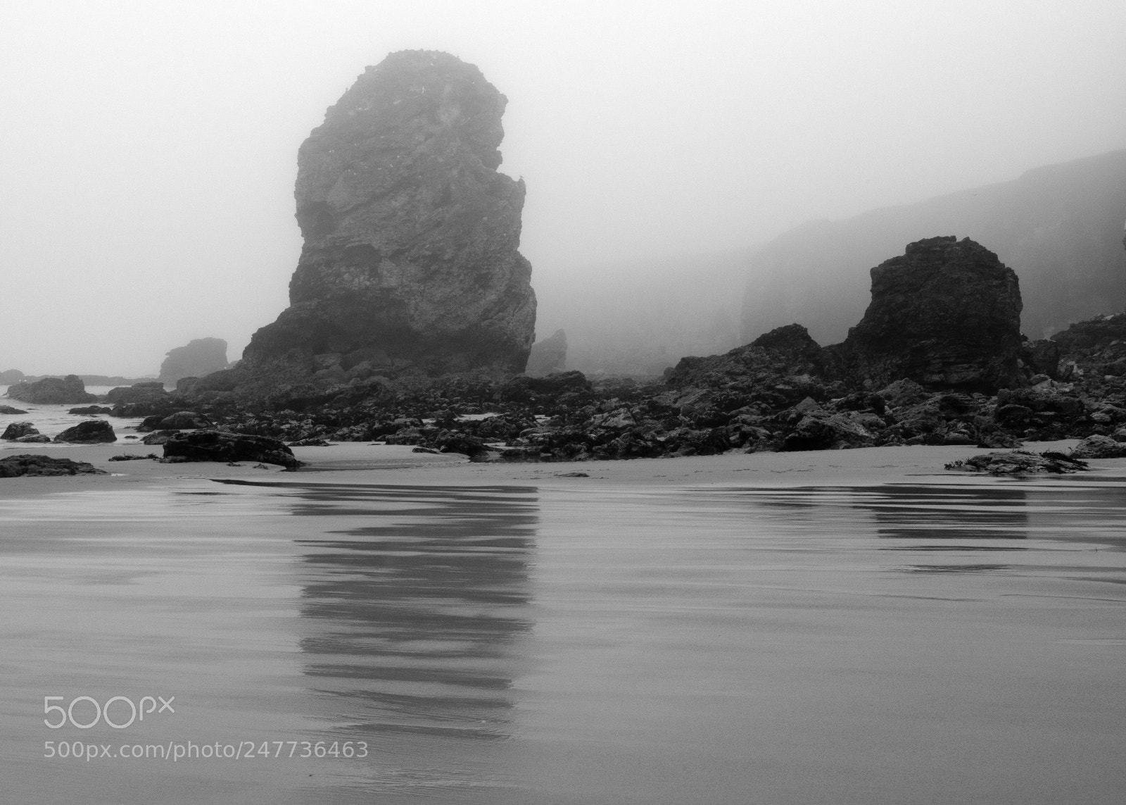 Fujifilm GFX 50S sample photo. Through the fog photography