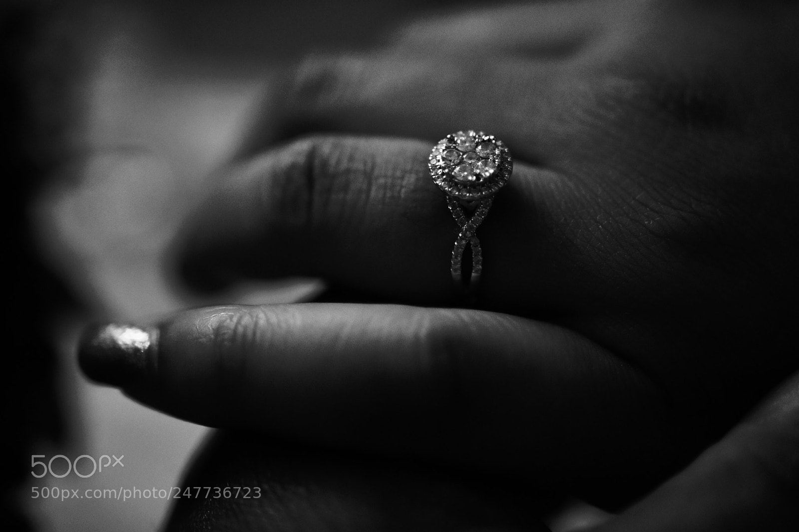 Nikon D7200 sample photo. Untitled photography