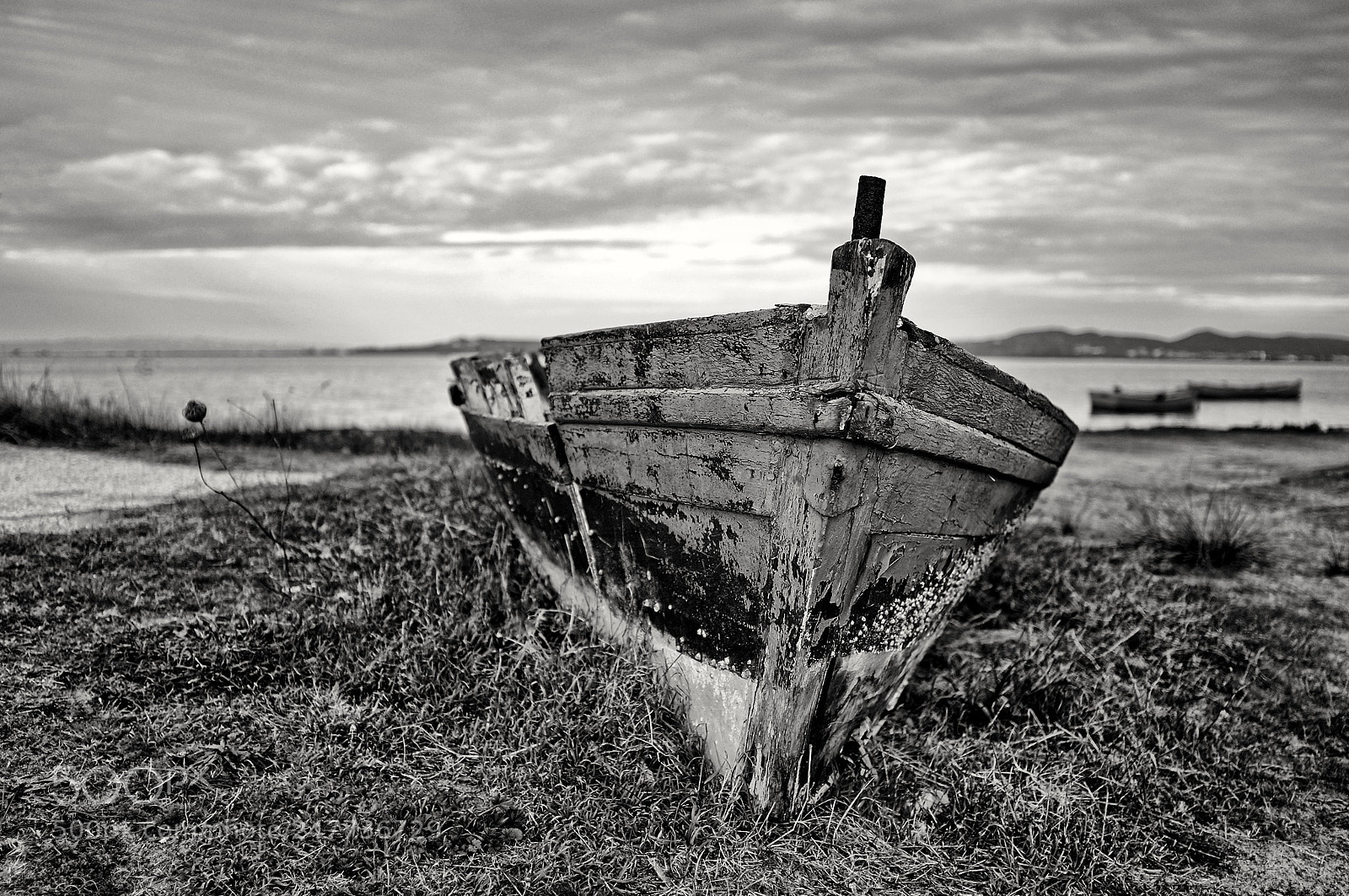 Fujifilm X100T sample photo. Untitled photography