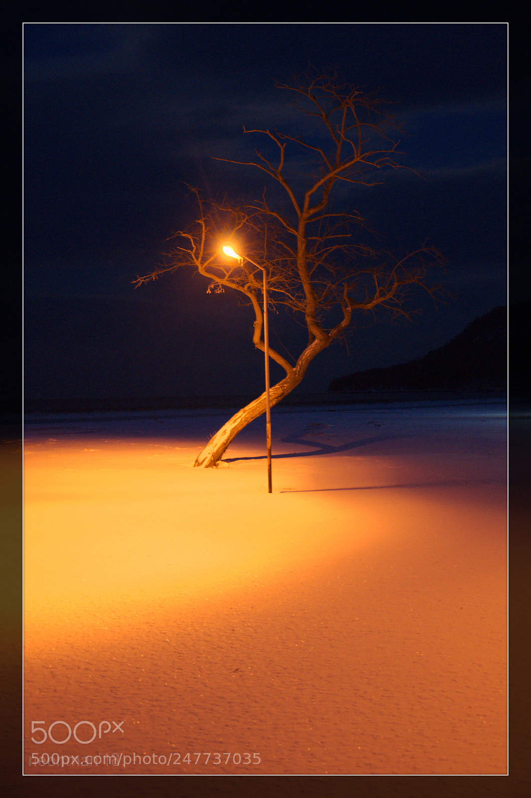 Nikon D90 sample photo. An etude photography