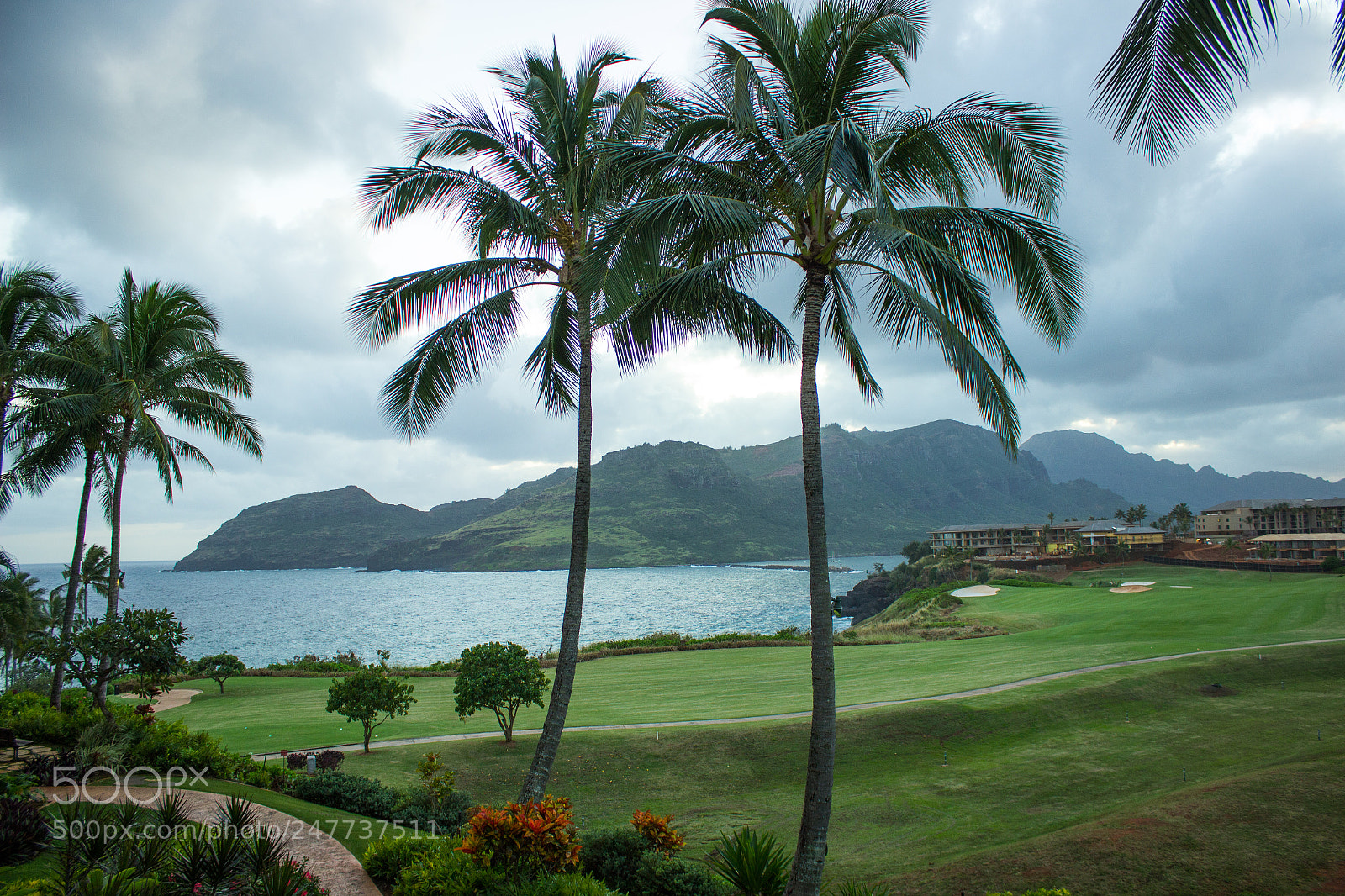 Canon EOS 600D (Rebel EOS T3i / EOS Kiss X5) sample photo. Līhue landscape photography