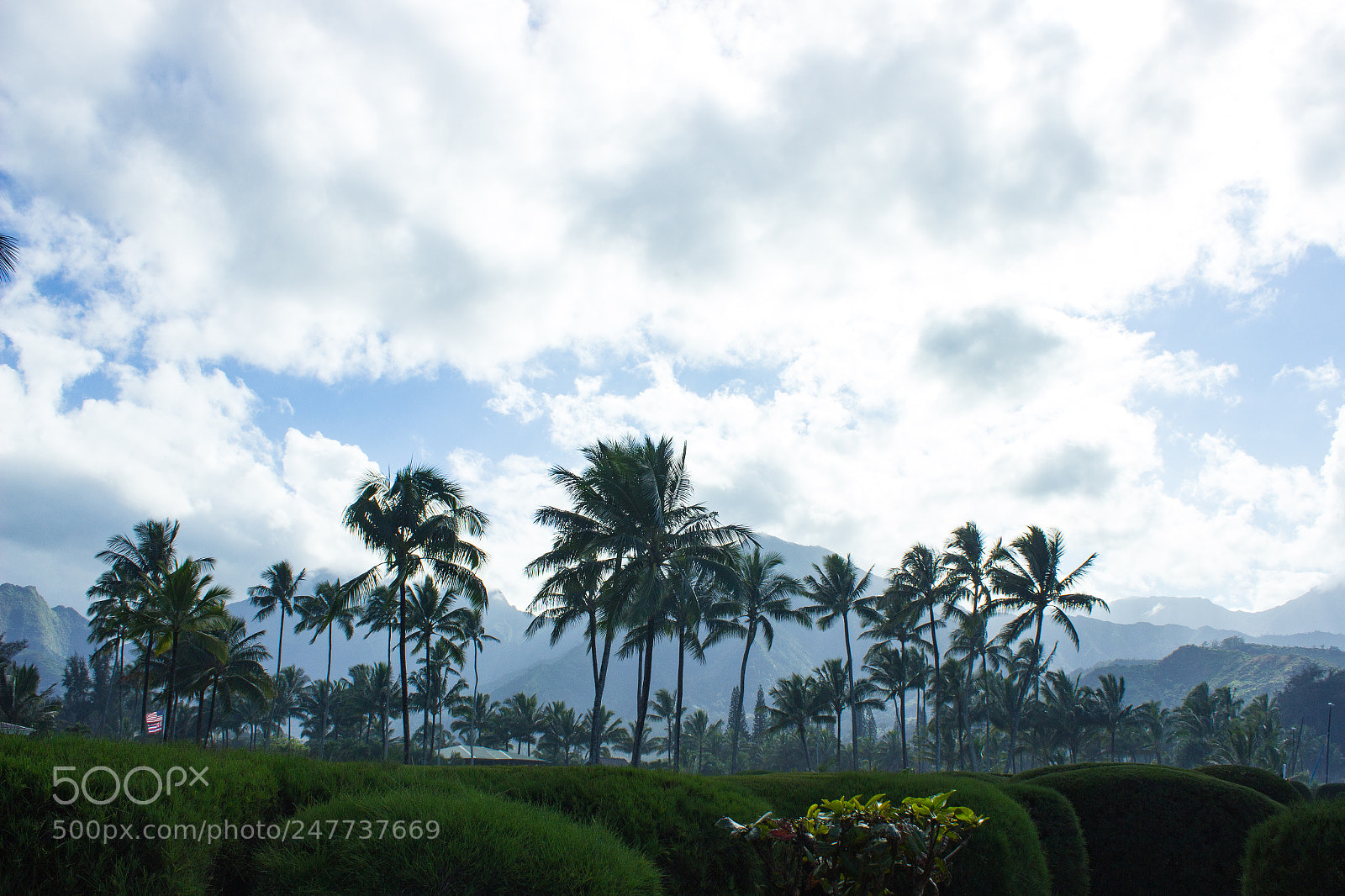 Canon EOS 600D (Rebel EOS T3i / EOS Kiss X5) sample photo. Landscape at hanalei photography