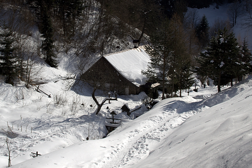 Canon EOS 600D (Rebel EOS T3i / EOS Kiss X5) sample photo. Winter in the village photography