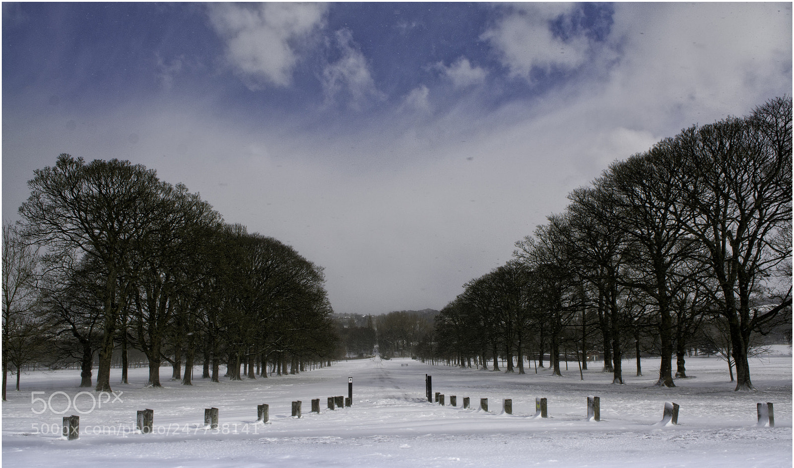 Nikon D7100 sample photo. Townley snow photography