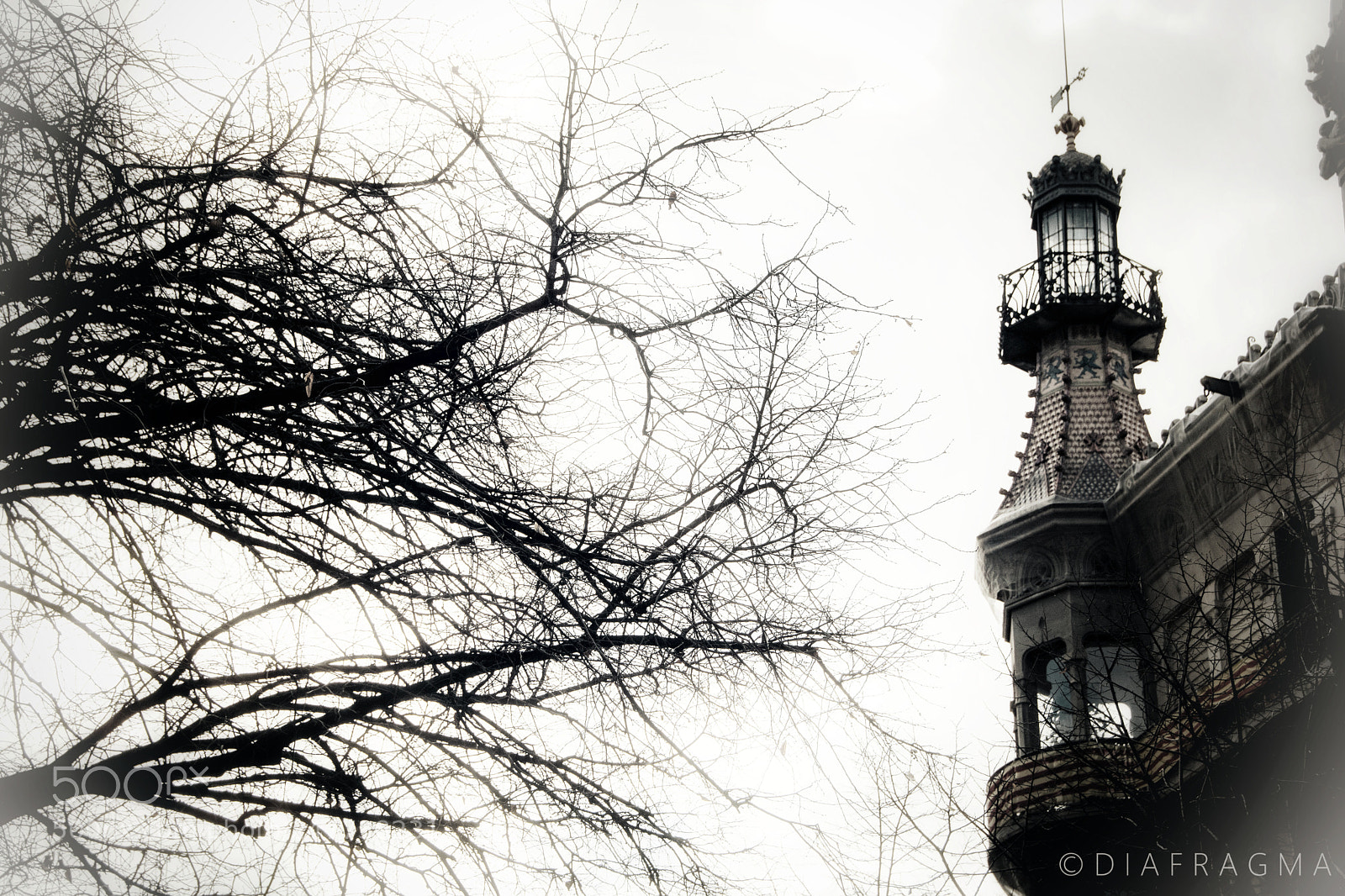 Nikon D5200 sample photo. Fo_g photography