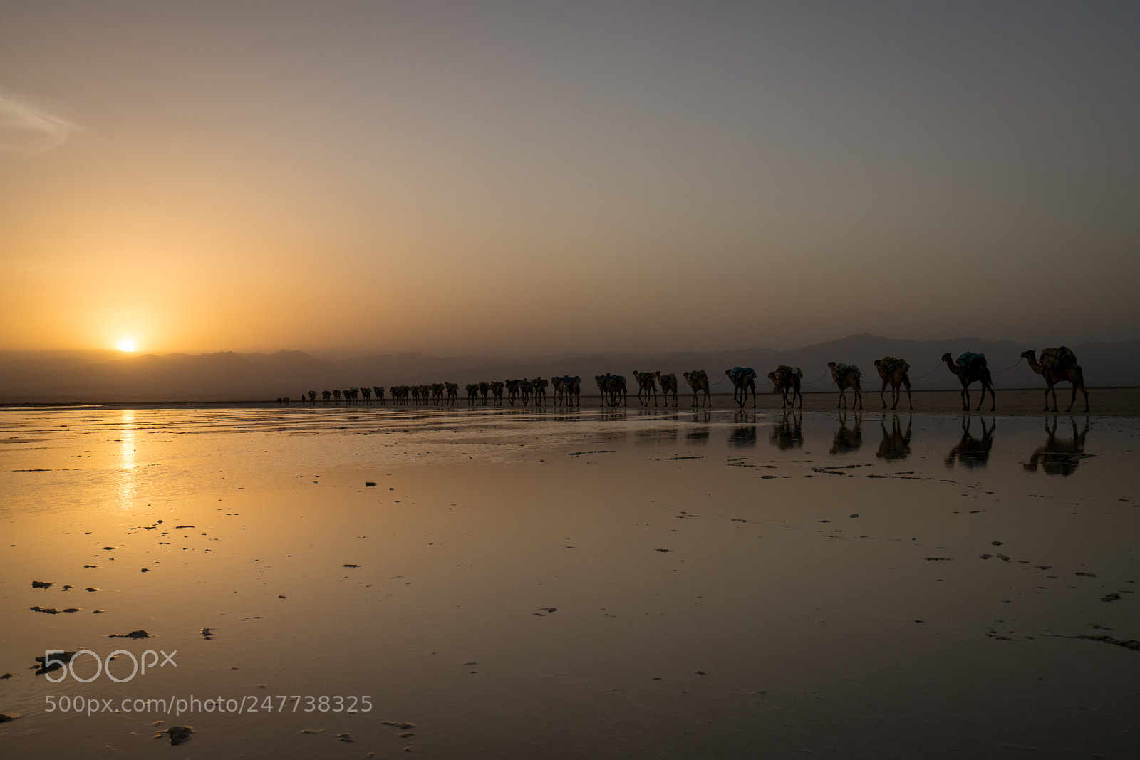 Sony a7R II sample photo. Caravan photography