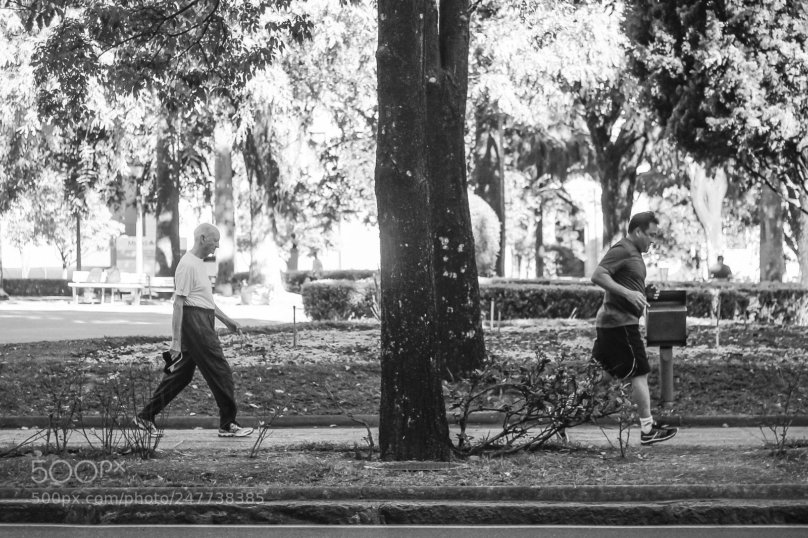 Canon EOS 600D (Rebel EOS T3i / EOS Kiss X5) sample photo. Caminhada l corrida photography