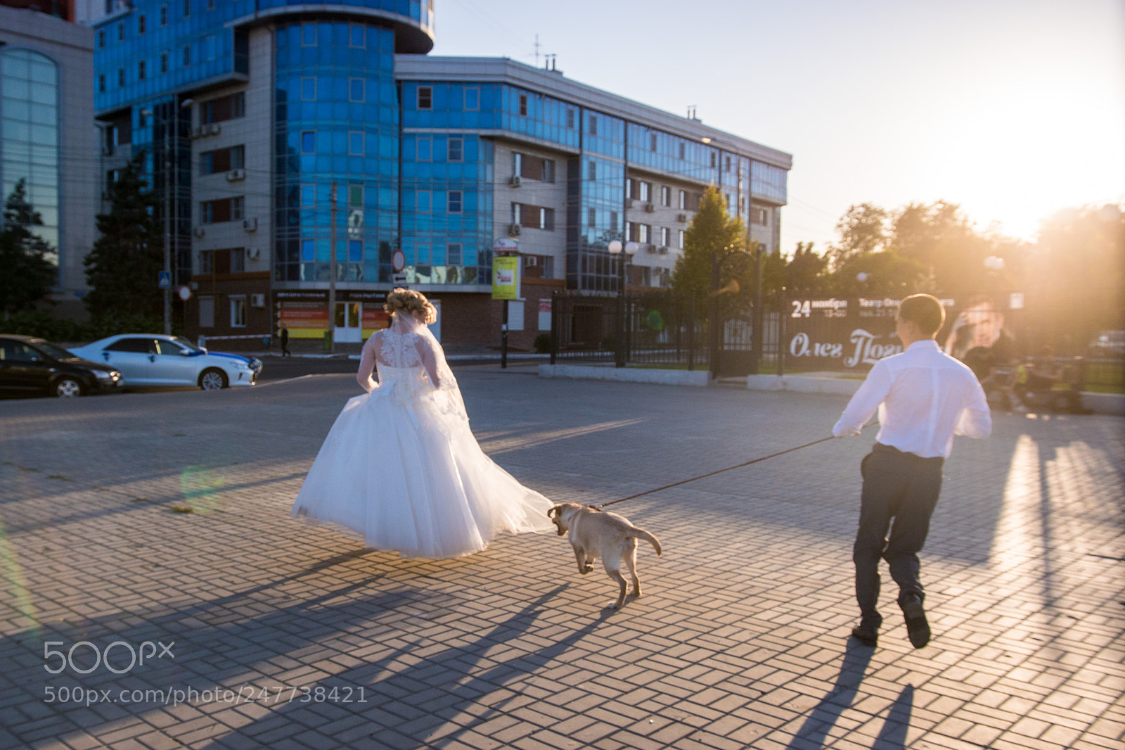 Sony ILCA-77M2 sample photo. Untitled photography