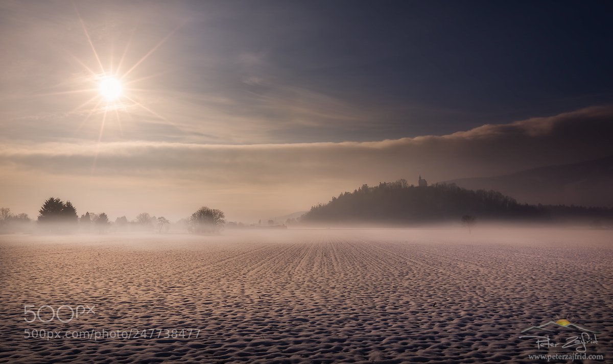 Nikon D810 sample photo. Winter mood photography