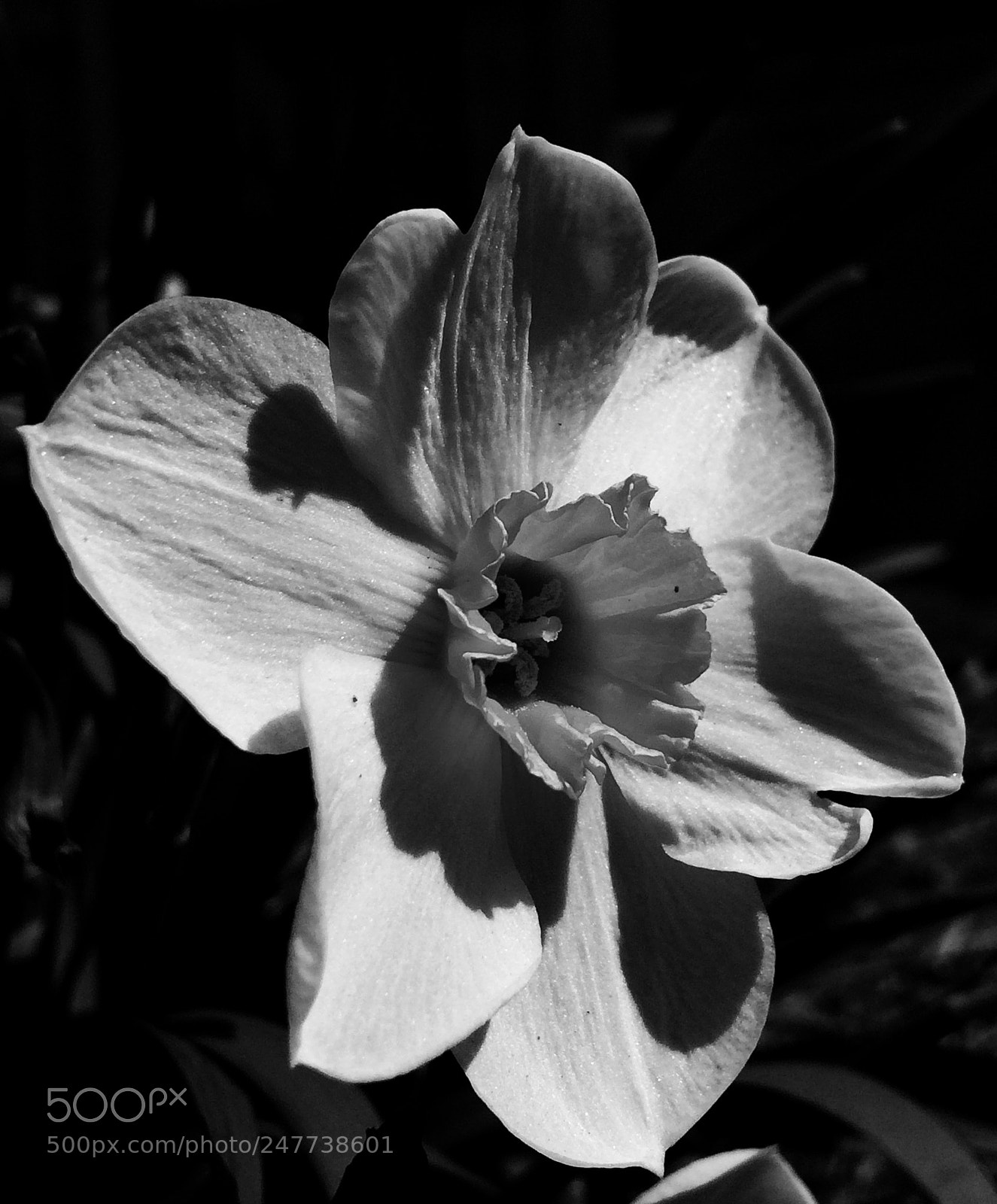 Apple iPhone 5s sample photo. Soaking up the sun photography