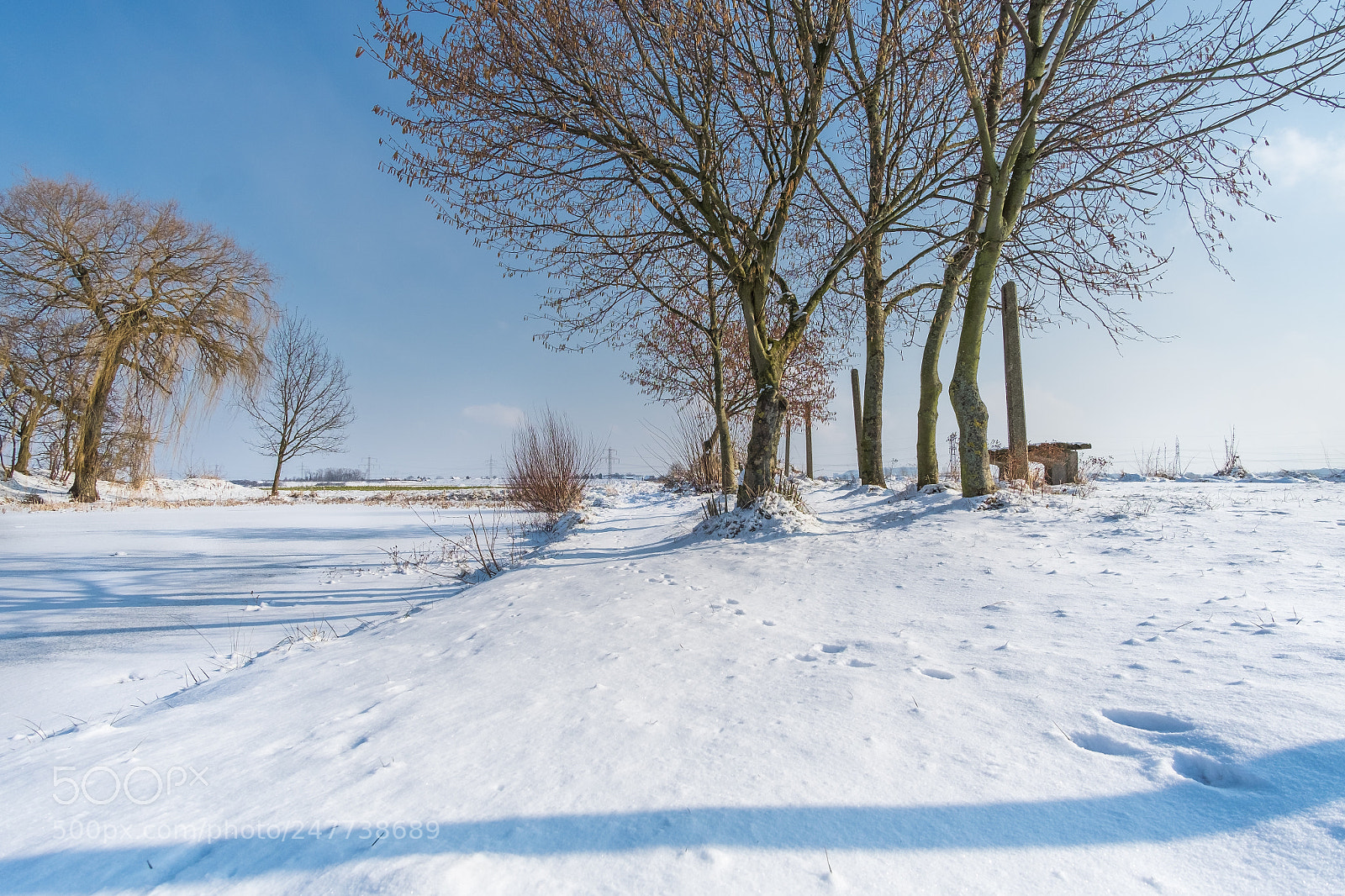 Fujifilm X-T1 sample photo. 11 grad und ein photography